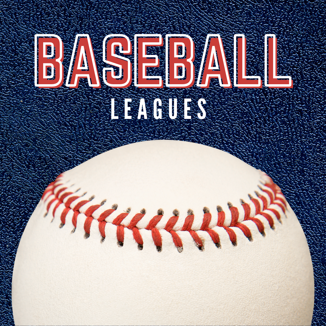 baseball leagues