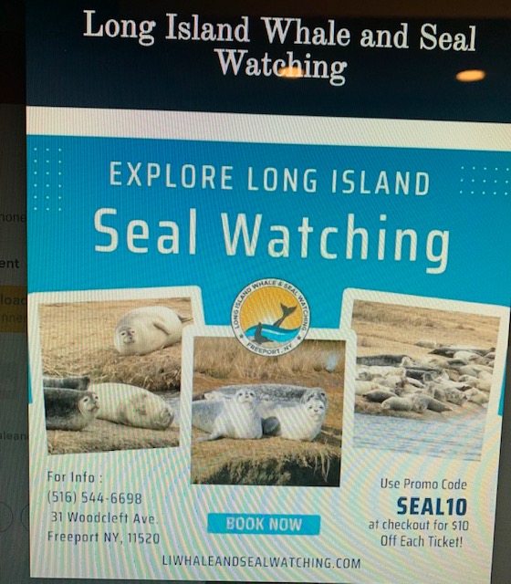 seal walk freeport